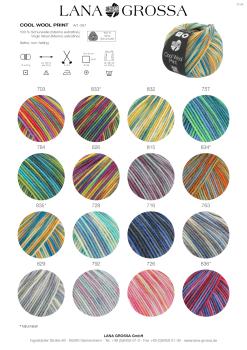 Farbkarte 1 Cool Wool Print/Punto 2024